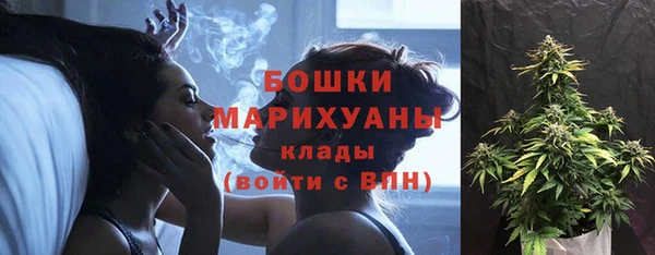 крисы Горно-Алтайск