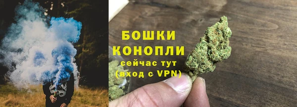 крисы Горно-Алтайск