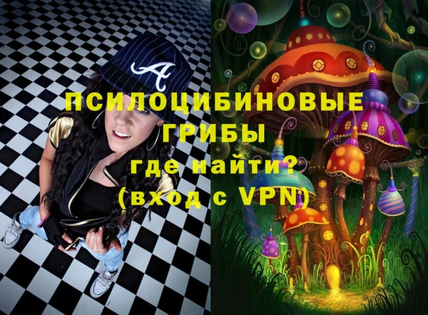 эйфоретик Горняк