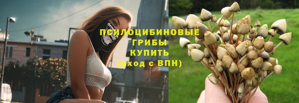 СК Горнозаводск
