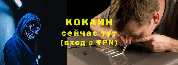 крисы Горно-Алтайск