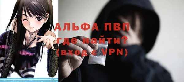 эйфоретик Горняк