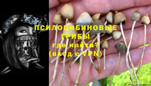 СК Горнозаводск