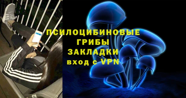 СК Горнозаводск