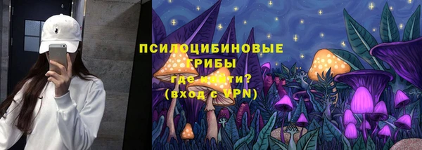 крисы Горно-Алтайск