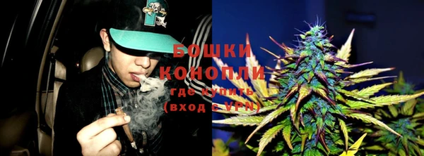 крисы Горно-Алтайск