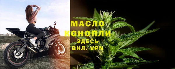 эйфоретик Горняк
